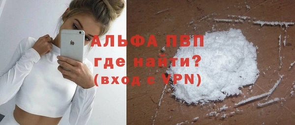 дмт Дмитриев