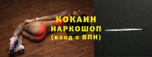 бошки Дмитров