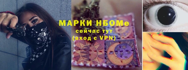 хмурый Ельня