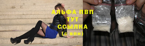 бошки Дмитров