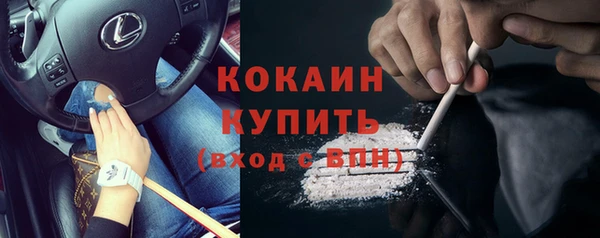 дмт Дмитриев