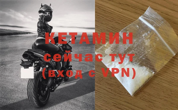 бошки Дмитров