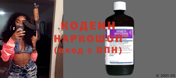 дмт Дмитриев