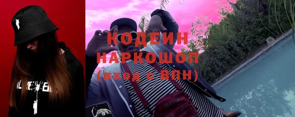дмт Дмитриев