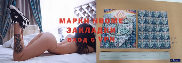 бошки Дмитров