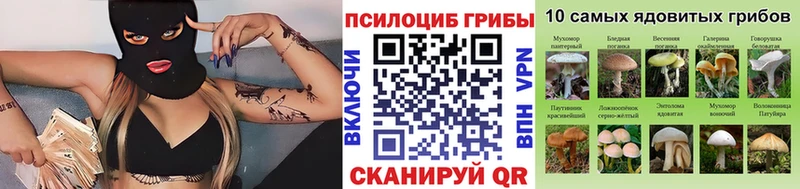 Галлюциногенные грибы Psilocybe  Купить  Новокубанск 